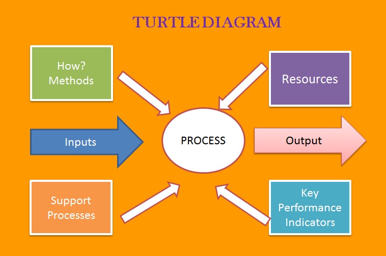 Turtle diagram- BAsic