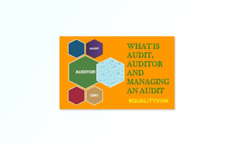 WHAT IS AUDIT, AUDITOR AND MANAGING AN AUDIT?